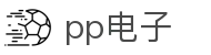 pp电子（中国）股份公司官网
